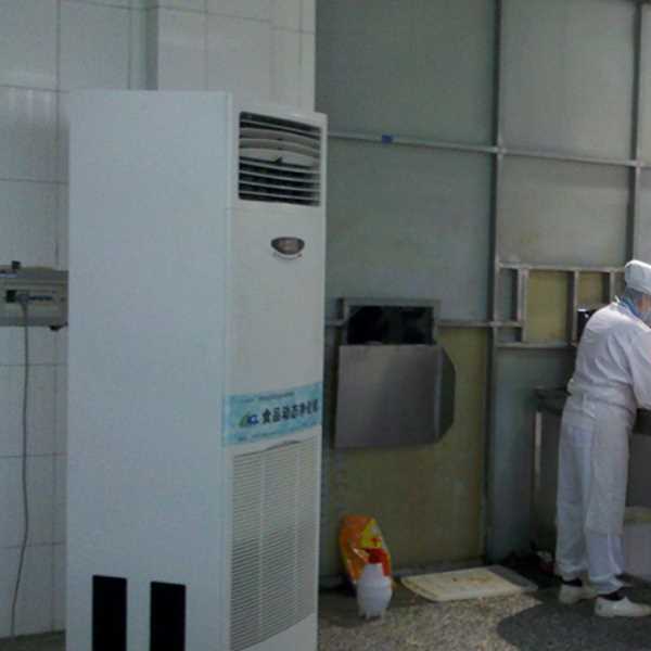 东城食品正负离子空气杀菌器